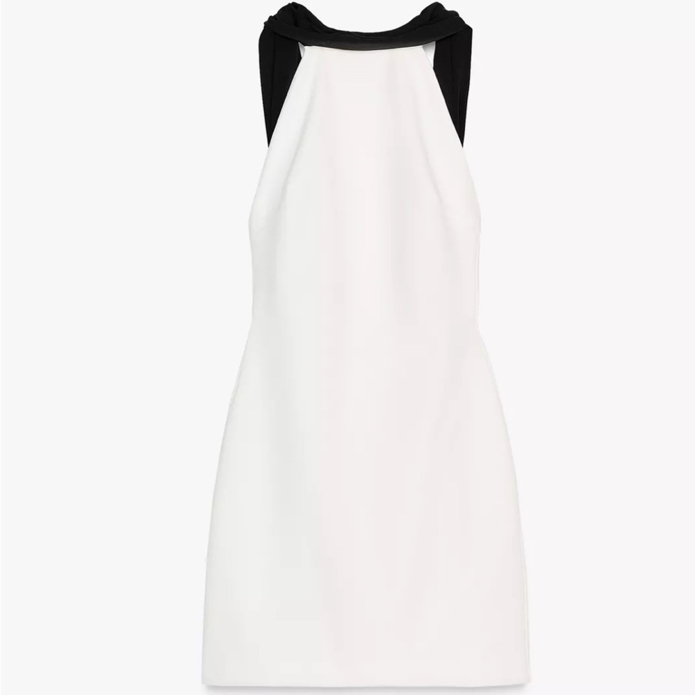 Zara Monochrome Backless Dress